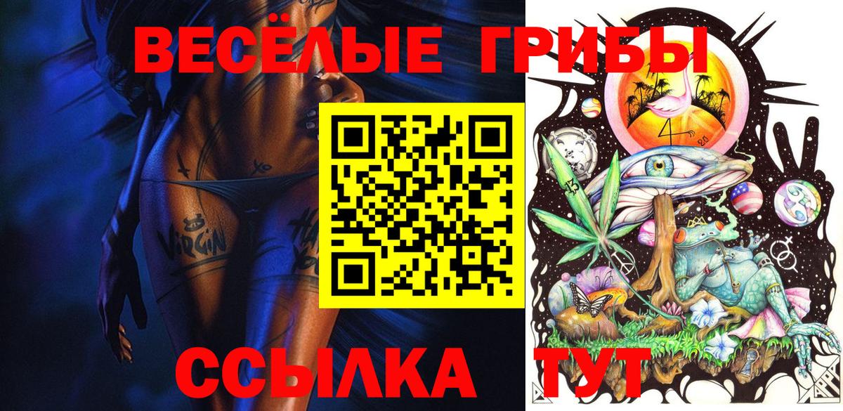 Псилоцибиновые грибы Psilocybine cubensis Обнинск