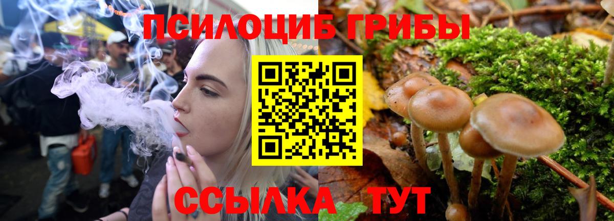 Обнинск  Галлюциногенные грибы Psilocybe  Псилоцибиновые грибы Psilocybe  Вход с VPN 